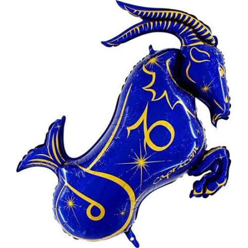 Zodiac Capricorn, blue