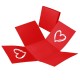 Õhupallikarp «punane südamega»